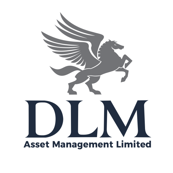 DLM-Asset-Management