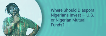 Where Should Diaspora Nigerians Invest: US or Nigeria