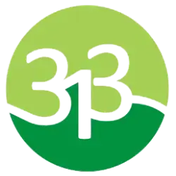 313-bdc