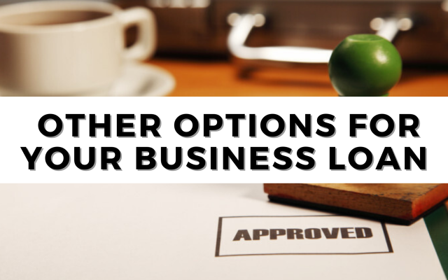 other options for your business loan