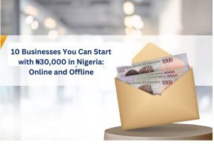 10 Businesses You Can Start with ₦30,000 in Nigeria: Online and Offline cover