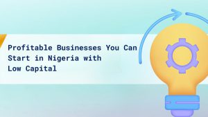 Profitable BusinessesYou Can Start in Nigeria With Low Capital