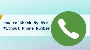 How to Check My BVN Without Phone Number