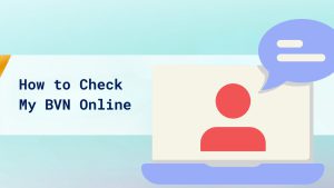 How to Check My BVN Online cover