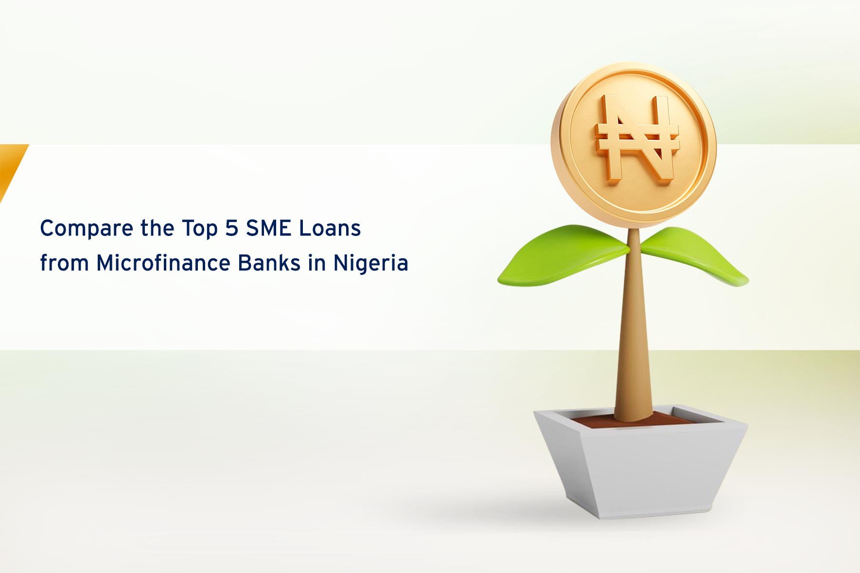 Compare the Top 5 SME Loans from Microfinance Banks in Nigeria cover