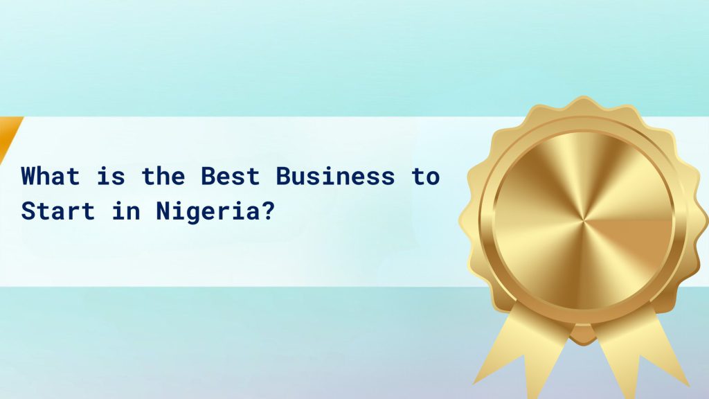 What is the Best Business to Start in Nigeria? cover