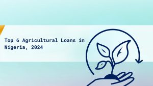 Top 6 Agricultural Loans in Nigeria 2024 cover